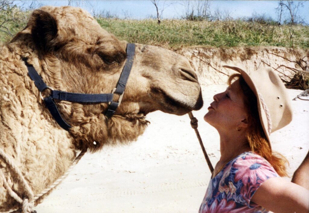 Bali Camel Safari